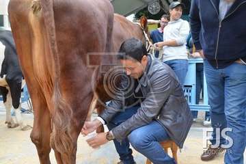  El alcalde de Telde se va con 'Rosita' (Foto TA)